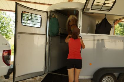 Le transport des chevaux : particularités et précautions